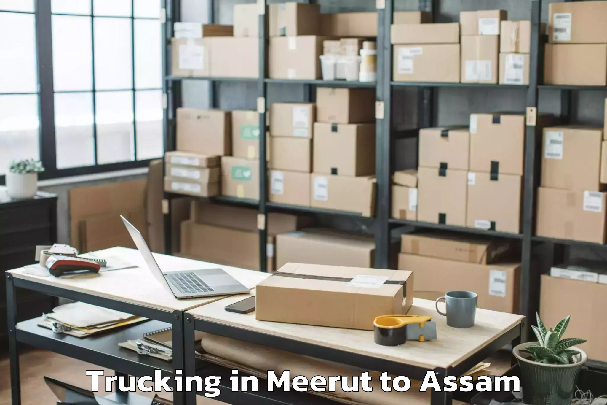 Easy Meerut to Sadiya Trucking Booking